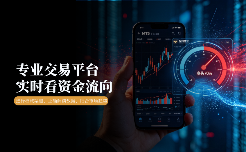 专业交易平台看实时资金流向 专业交易平台看实时资金流向